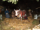 14 DSCF2005