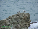 55-DSCF1364B