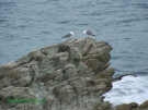 54-DSCF1363B