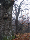 20-2005_1101Image0034.JPG