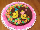 Torta 24 01
