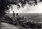 COLLEZIONE BELLINI - CORNIGLIANO - 0020