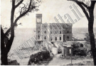 COLLEZIONE BELLINI - CORNIGLIANO - 0035