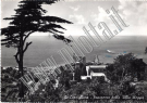COLLEZIONE BELLINI - CORNIGLIANO - 0040