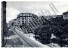 COLLEZIONE BELLINI - CORNIGLIANO - 0100