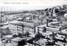 COLLEZIONE BELLINI - CORNIGLIANO - 0165