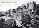 COLLEZIONE BELLINI - CORNIGLIANO - 0180