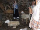 38 PRESEPE 2